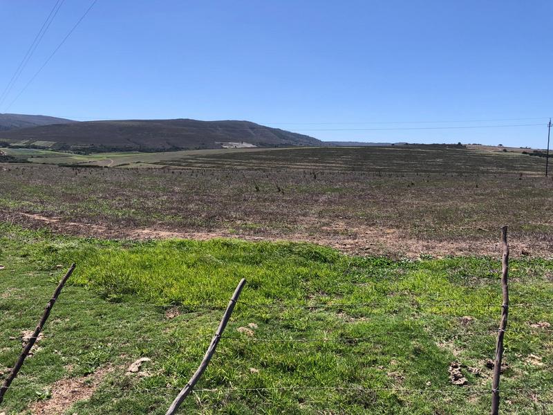 0 Bedroom Property for Sale in Baardskeerdersbos Western Cape